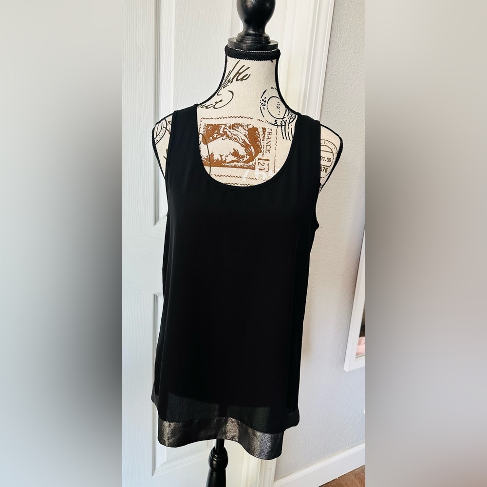 Express Black Sheer Sleeveless Blouse